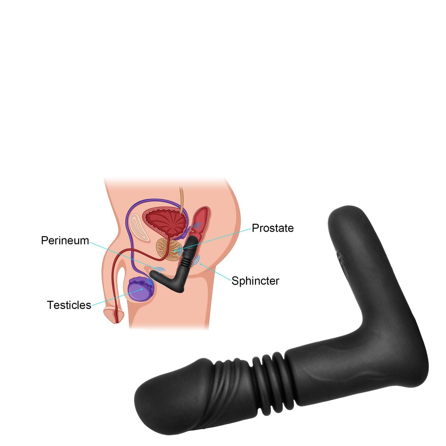 APP Control Thrusting Dildo Vibrator - Vibratoy Shop