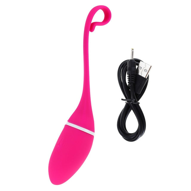 Long Distance APP Vibrator - Vibratoy Shop