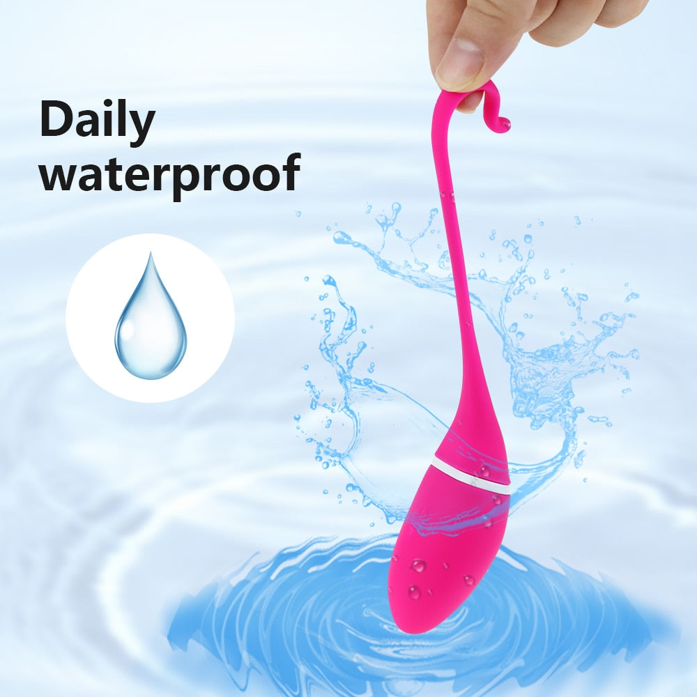 Long Distance APP Vibrator - Vibratoy Shop